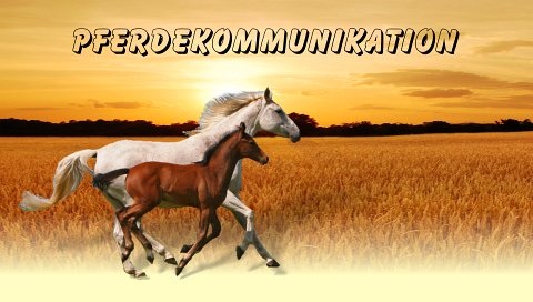 Tier- und Pferdekommunikation