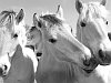 fotolia Bild